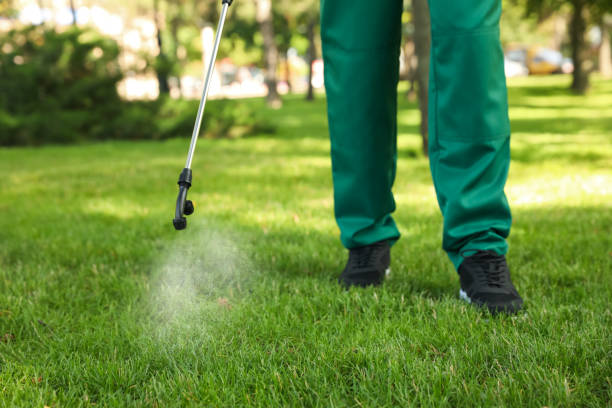 Best Bed Bug Extermination  in Punta Rassa, FL