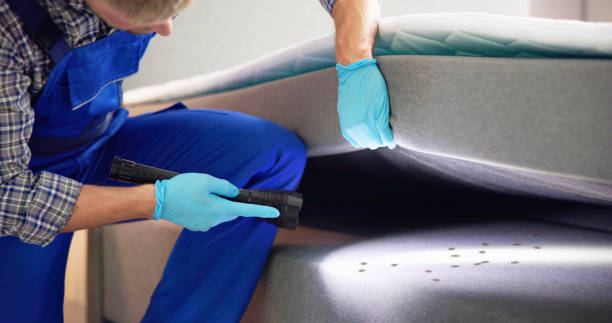 Pest Prevention Services in Punta Rassa, FL