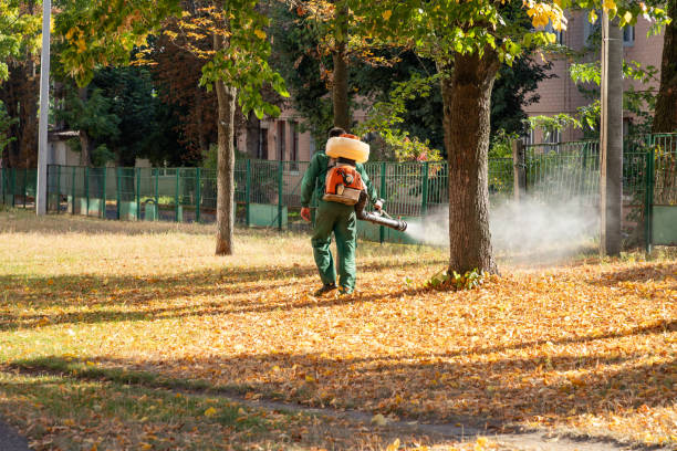 Best Cockroach Control Services  in Punta Rassa, FL